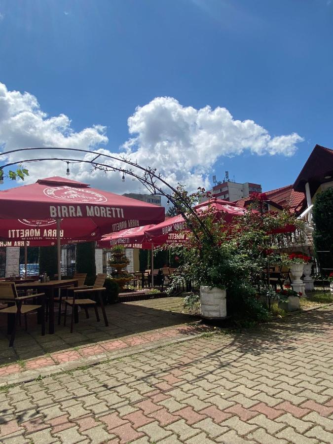 Pensiunea Viena Târgu-Mureş 外观 照片